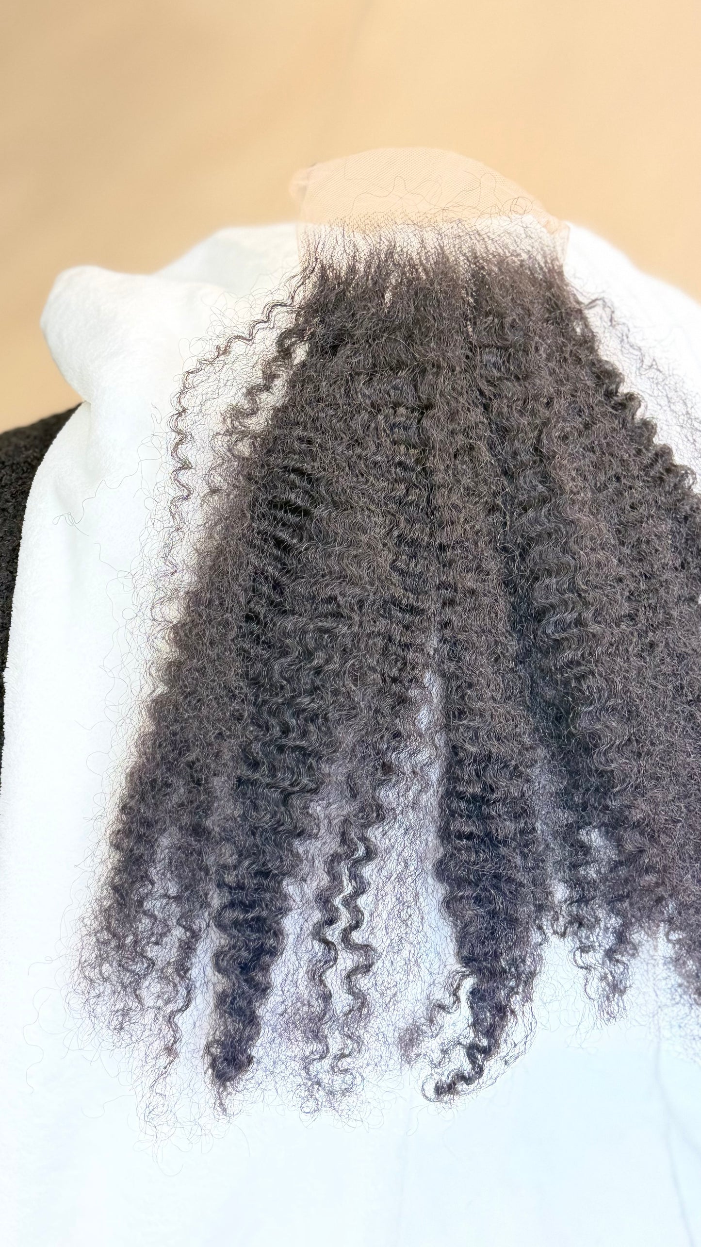 Burmese Curly 5*5
