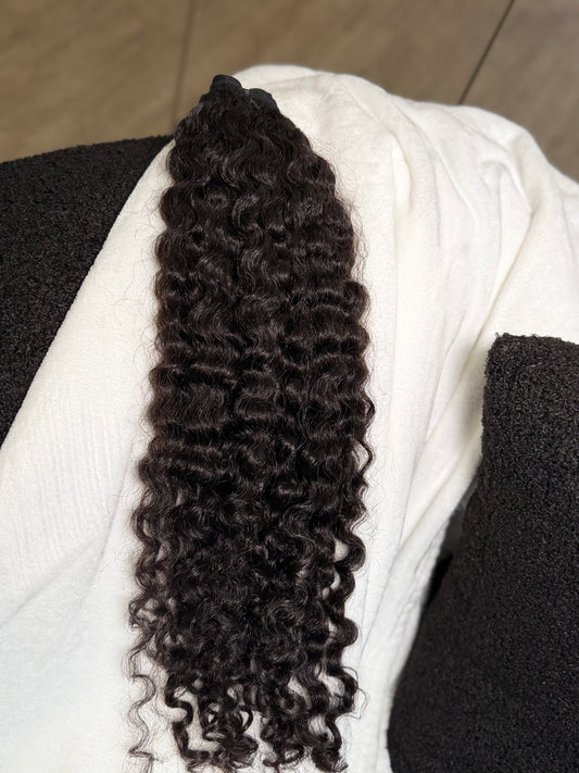 Burmese Curly