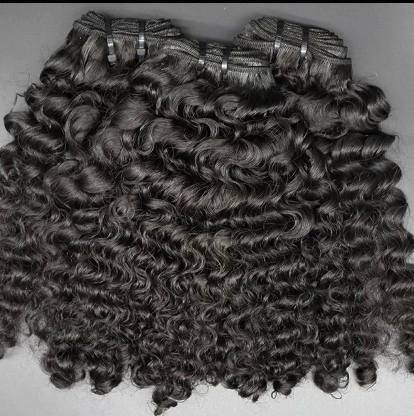 Burmese Curly