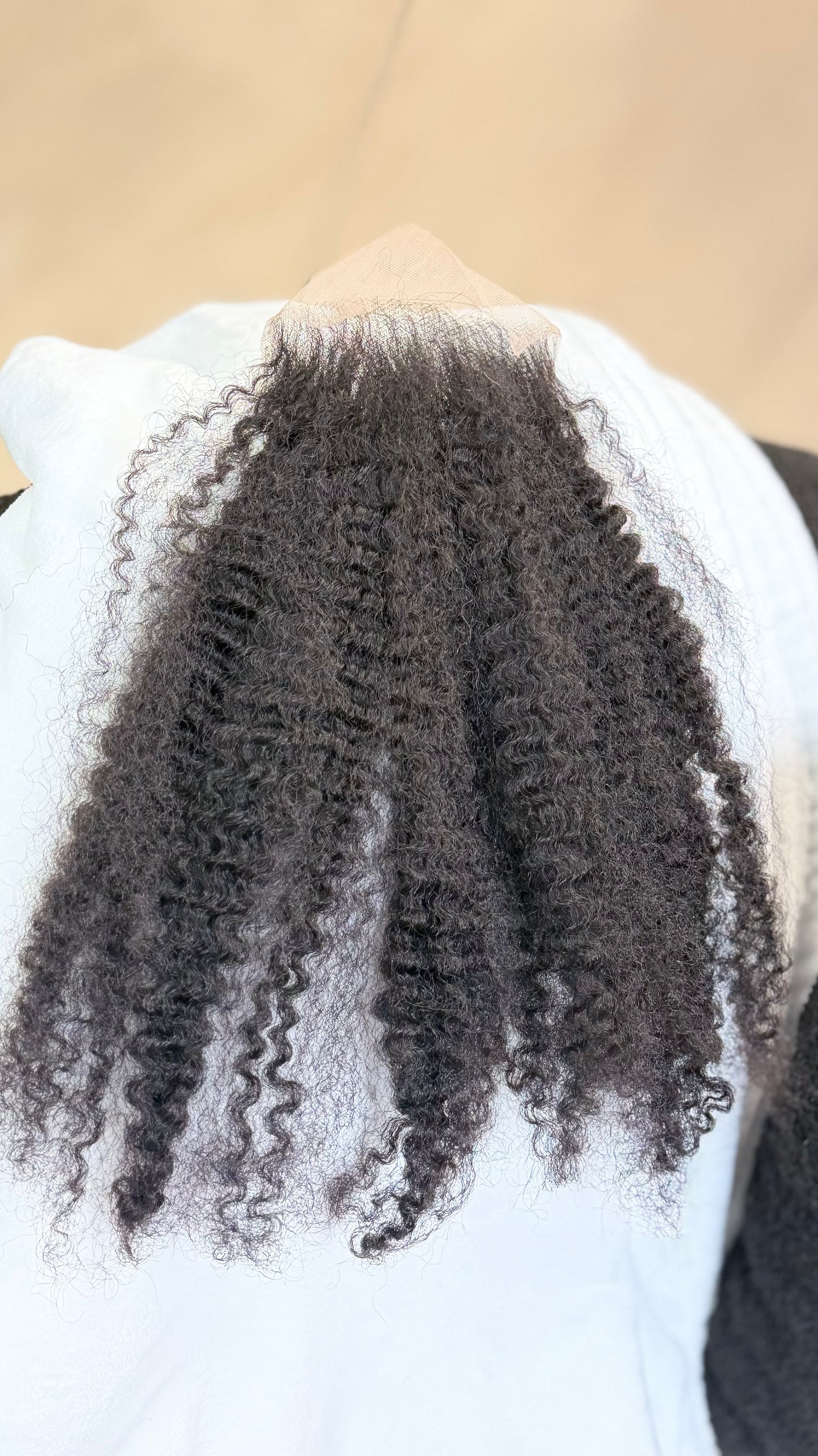 Burmese Curly 5*5